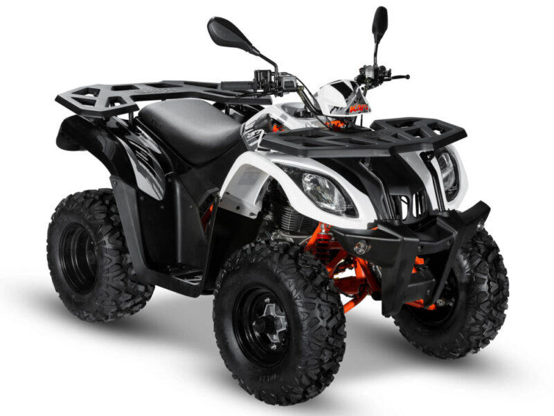 Quads For Sale In Michigan